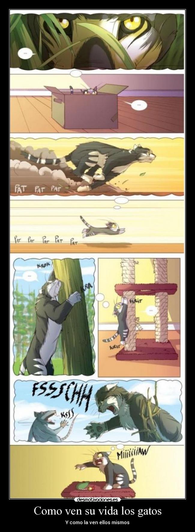 Como ven su vida los gatos - Y como la ven ellos mismos