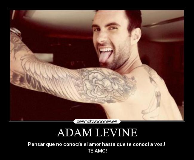 ADAM LEVINE -