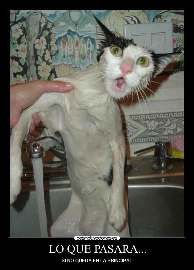 LO QUE PASARA... - SI NO QUEDA EN LA PRINCIPAL.