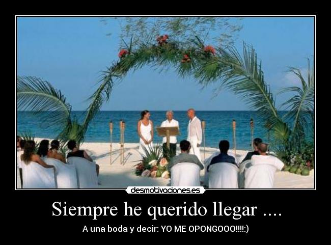 Siempre he querido llegar .... -