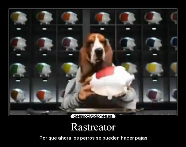 carteles rastreator pajas perros con manos pajilleitor desmotivaciones