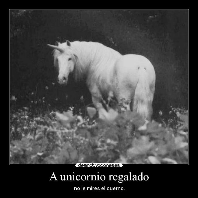 A unicornio regalado - no le mires el cuerno.