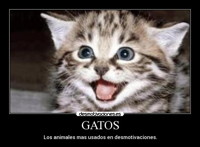 GATOS - 