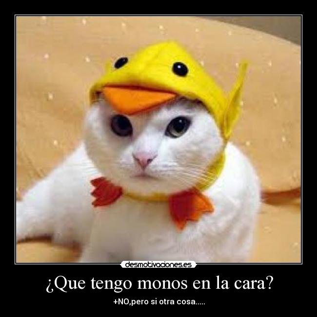 ¿Que tengo monos en la cara? -