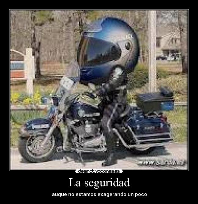 La seguridad -