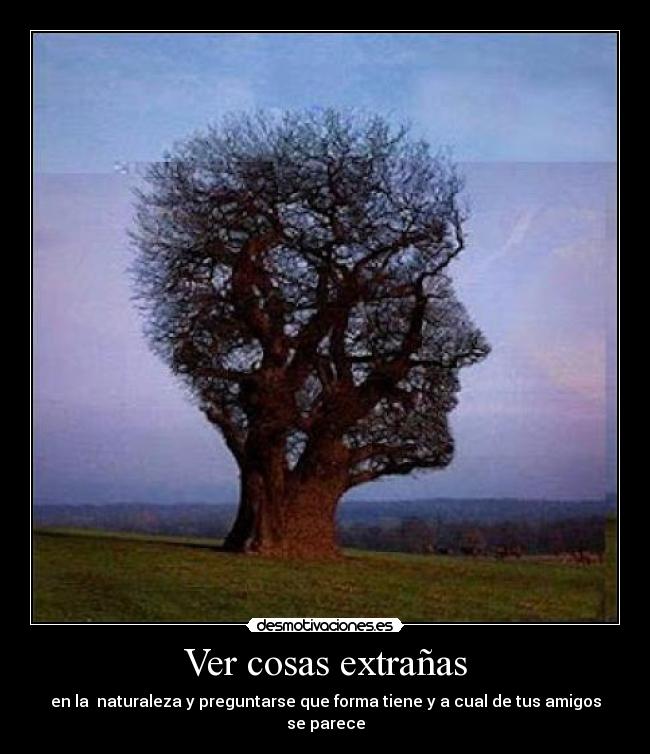 Ver cosas extrañas - en la naturaleza y preguntarse que forma tiene y a cual de tus amigos se parece
