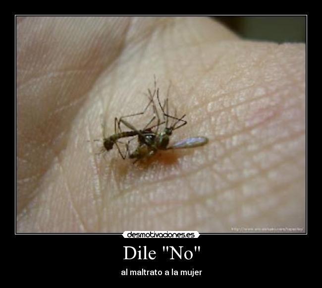 Dile No - 