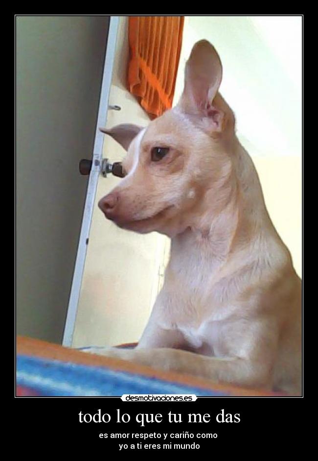 carteles ronald perez velasquez vanesa monsalve desmotivaciones