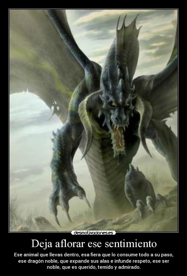 Deja aflorar ese sentimiento -