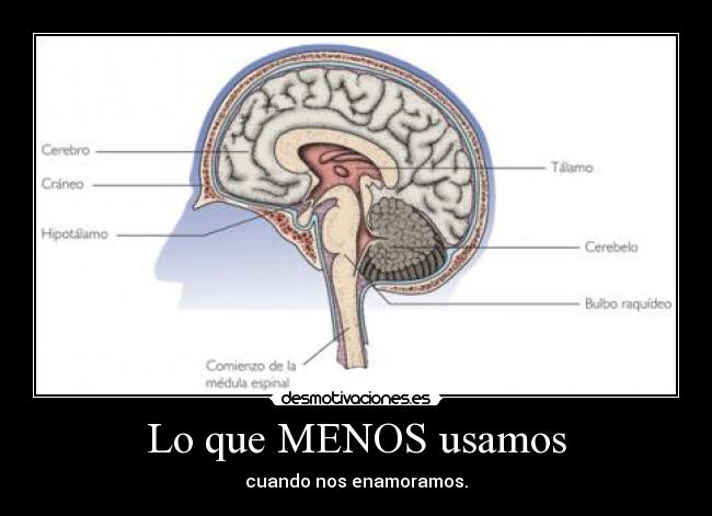 Lo que MENOS usamos - cuando nos enamoramos.