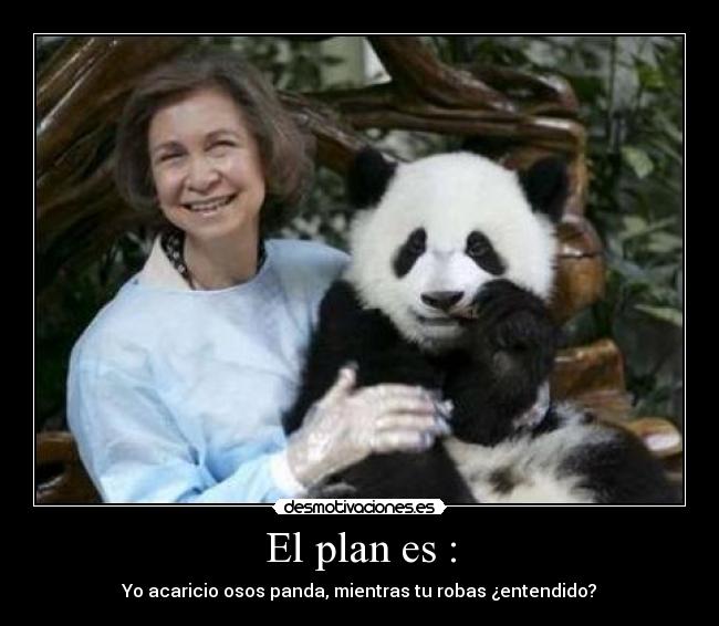 El plan es : - Yo acaricio osos panda, mientras tu robas ¿entendido?