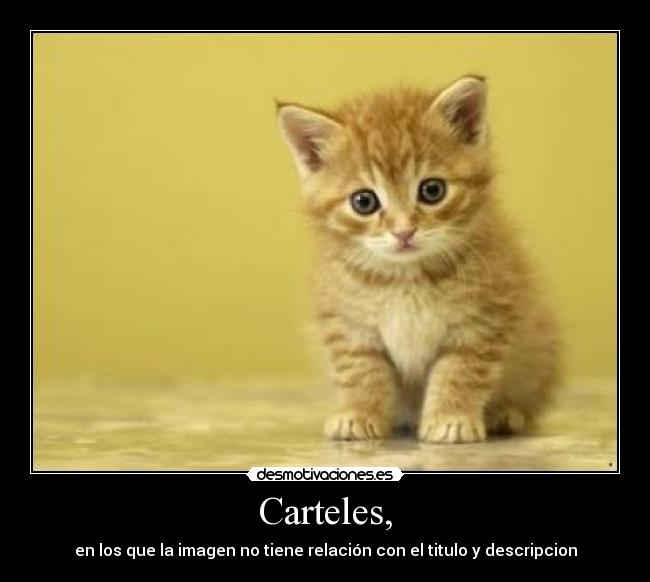 Carteles, - en los que la imagen no tiene relación con el titulo y descripcion