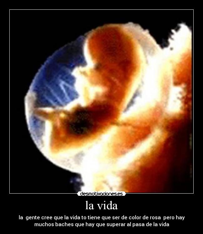 la vida - la  gente cree que la vida to tiene que ser de color de rosa  pero hay
muchos baches que hay que superar al pasa de la vida