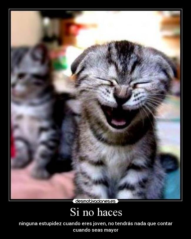 Si no haces - ninguna estupidez cuando eres joven, no tendrás nada que contar cuando seas mayor