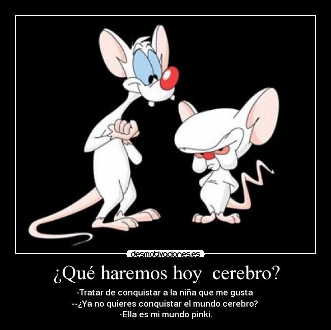 ¿Qué haremos hoy  cerebro? - 