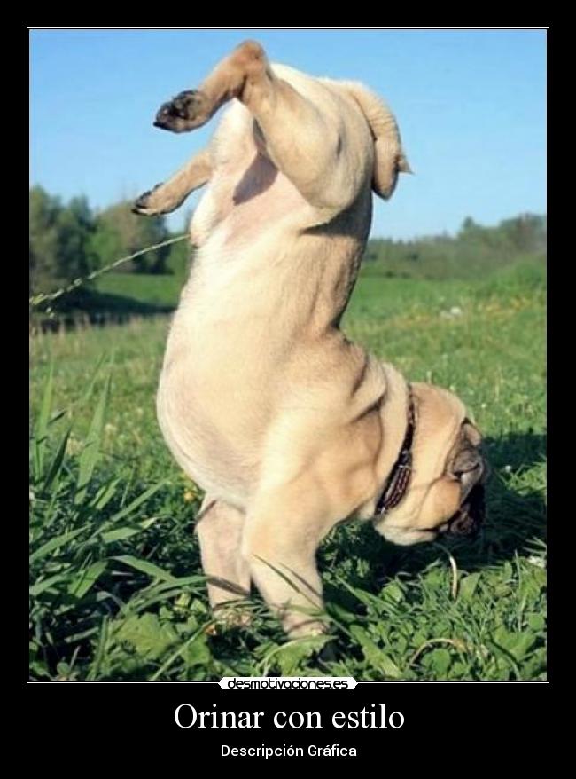 Orinar con estilo -