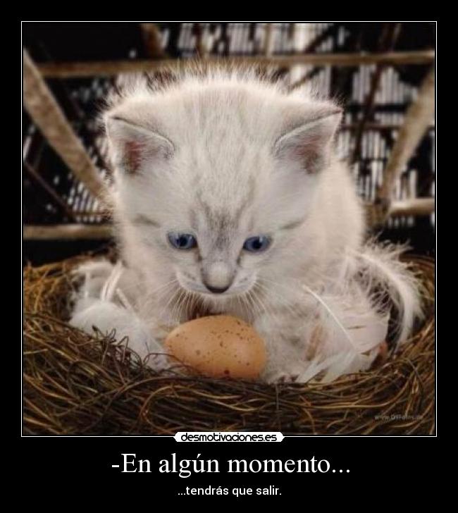 -En algún momento... - 