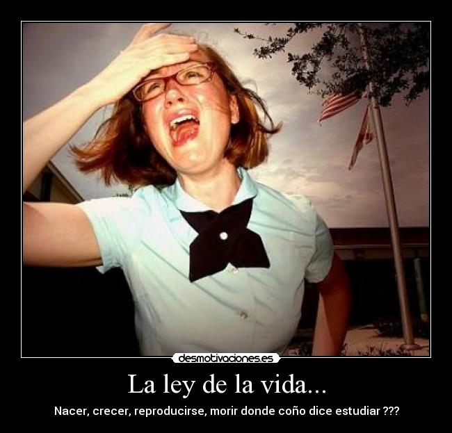 La ley de la vida... - Nacer, crecer, reproducirse, morir donde coño dice estudiar ???