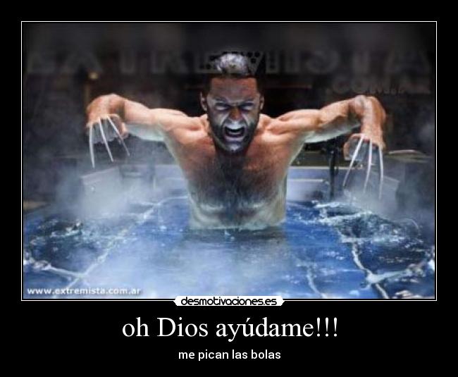 carteles dios wolverine pican las pelotas desmotivaciones