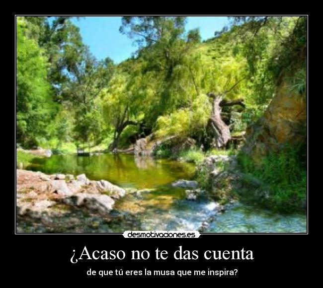 ¿Acaso no te das cuenta -