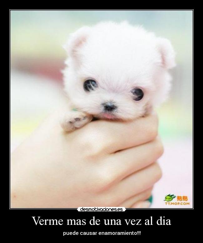 Verme mas de una vez al dia -