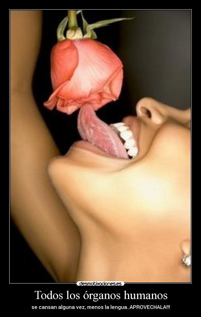 carteles desmotivaciones