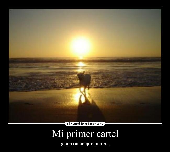 Mi primer cartel - 