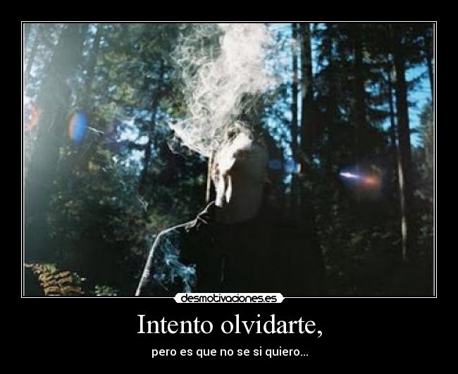 Intento olvidarte, - pero es que no se si quiero...
