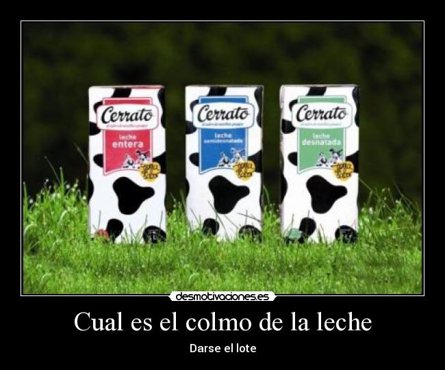 Cual es el colmo de la leche -