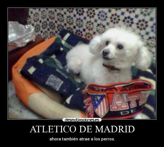 ATLETICO DE MADRID -