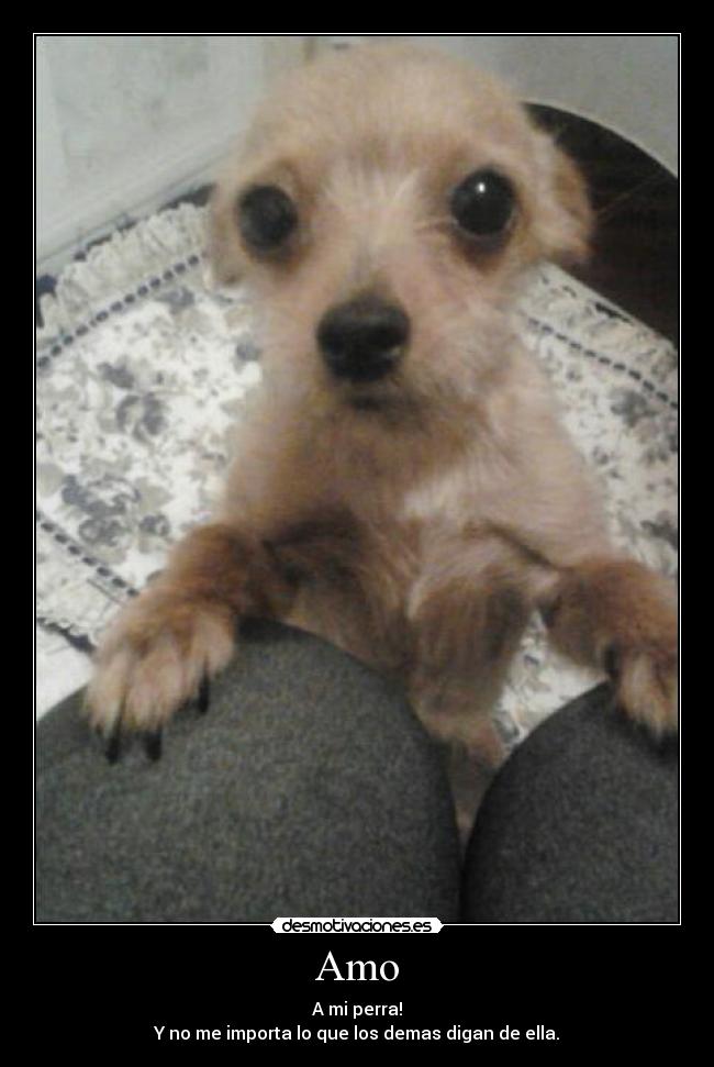 Amo - A mi perra!
Y no me importa lo que los demas digan de ella.