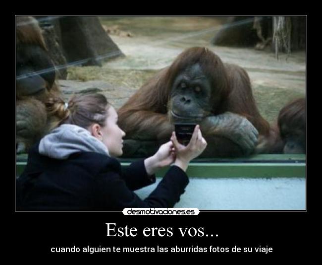 carteles wad desmotivaciones