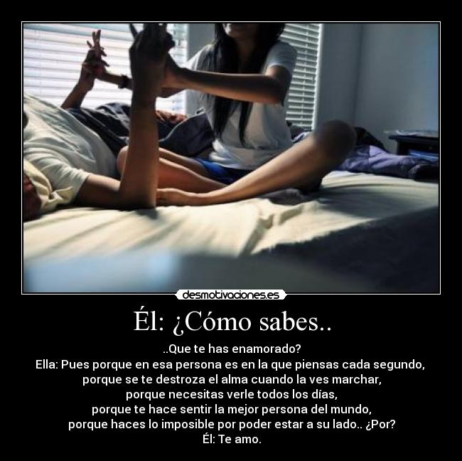 Él: ¿Cómo sabes.. - ..Que te has enamorado?
Ella: Pues porque en esa persona es en la que piensas cada segundo,
porque se te destroza el alma cuando la ves marchar,
porque necesitas verle todos los días,
porque te hace sentir la mejor persona del mundo,
porque haces lo imposible por poder estar a su lado.. ¿Por?
Él: Te amo.