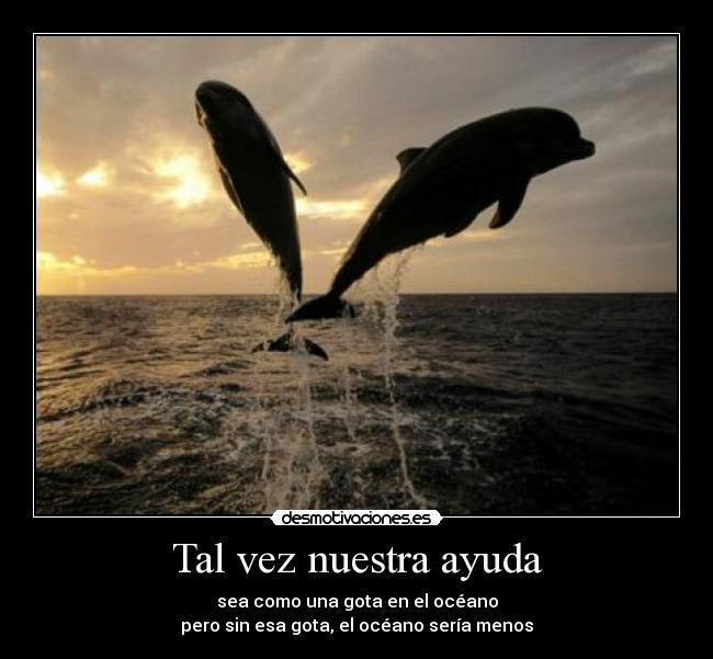 Tal vez nuestra ayuda - 
