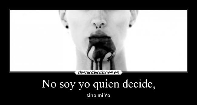 carteles nomiresaqui panoramicas nowthatsfuckingmessedup desmotivaciones