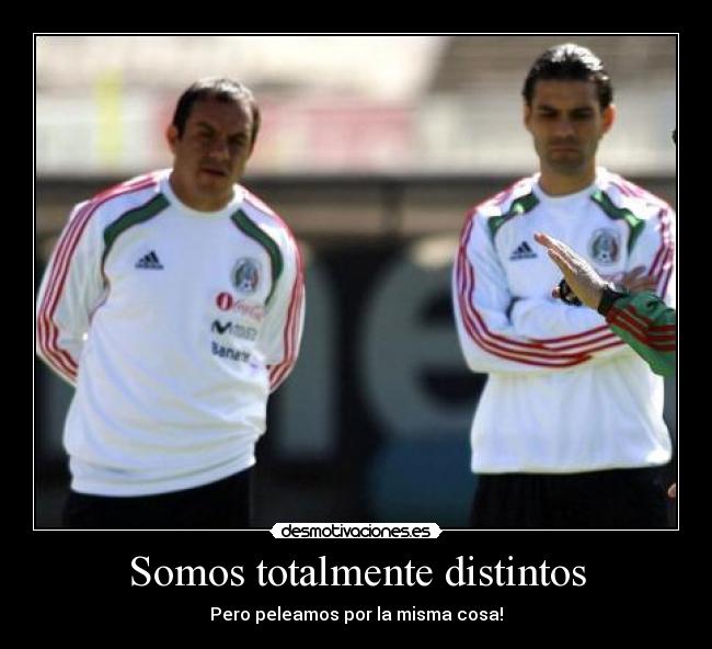 carteles mexico desmotivaciones