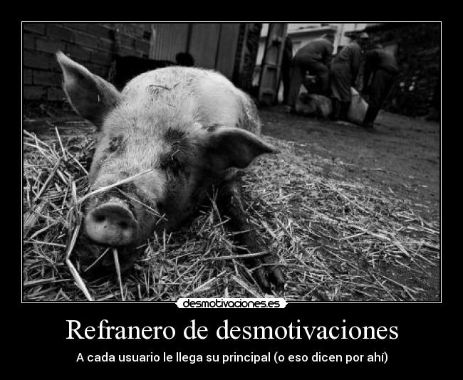 Refranero de desmotivaciones -