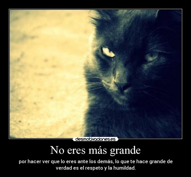 No eres más grande - por hacer ver que lo eres ante los demás, lo que te hace grande de
verdad es el respeto y la humildad.