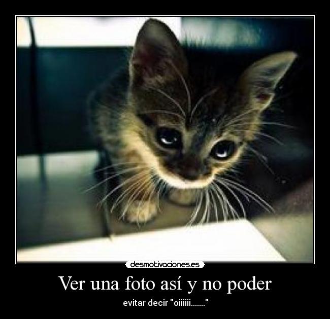 Ver una foto así y no poder - 