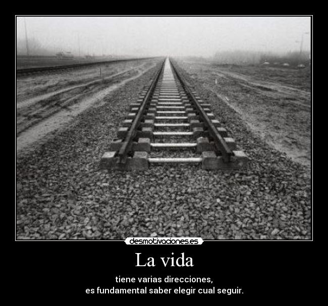 La vida - tiene varias direcciones,
es fundamental saber elegir cual seguir.