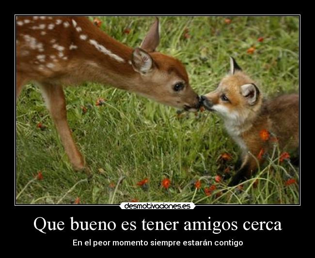 carteles amigos amigos desmotivaciones