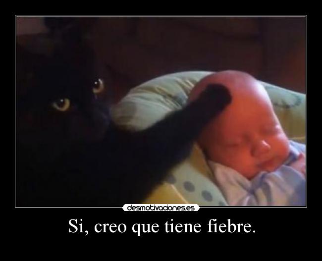 Si, creo que tiene fiebre. - 