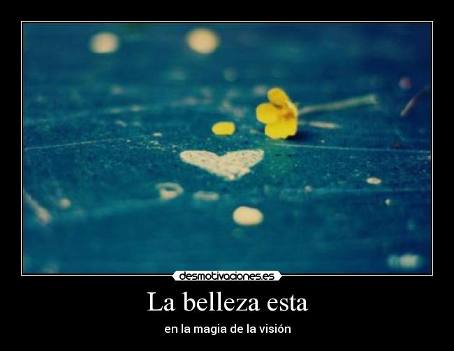 La belleza esta - 