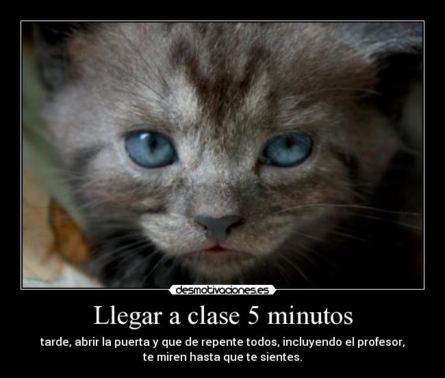 Llegar a clase 5 minutos - tarde, abrir la puerta y que de repente todos, incluyendo el profesor,
te miren hasta que te sientes.