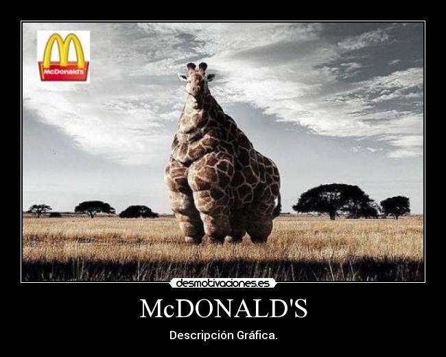 McDONALDS - Descripción Gráfica.