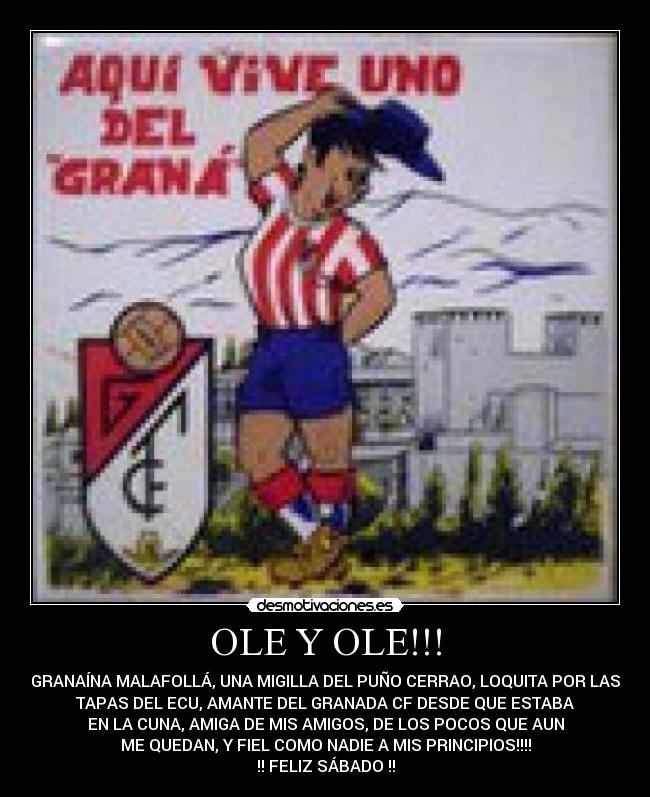 carteles ole desmotivaciones