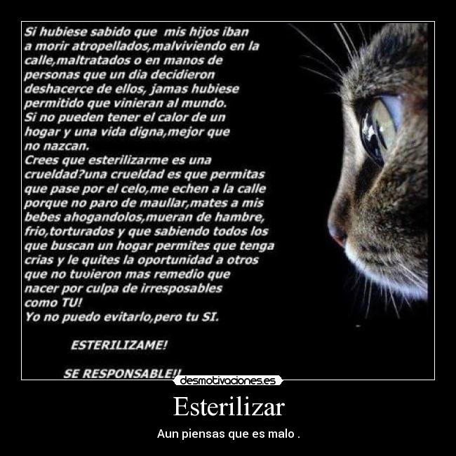 Esterilizar -