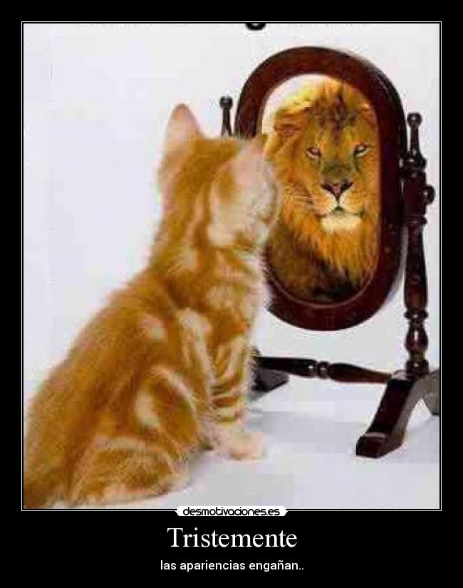 Tristemente - las apariencias engañan..