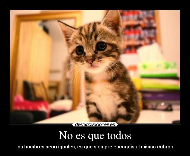 No es que todos -