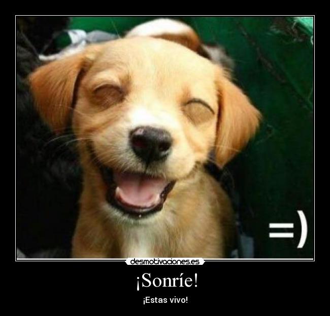 ¡Sonríe! - ¡Estas vivo!